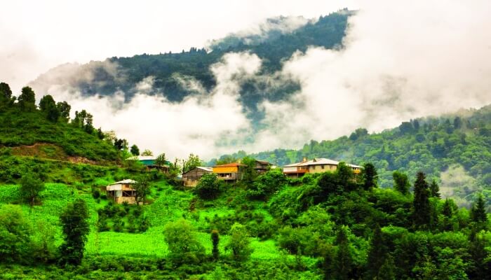 Artvin Yayla Evleri