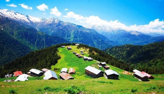Savsat Yayla Evleri Konaklama