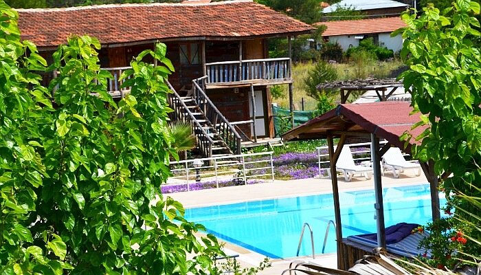 olimpos agac evler olimpos nerede kalinir agacev tatil yeri