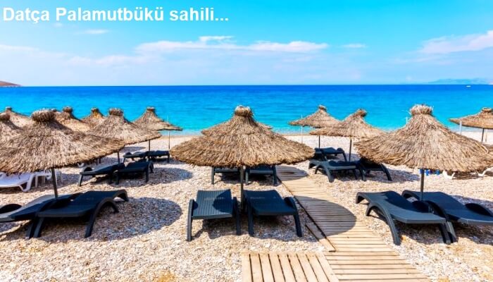 Datça Palamutbükü sahili