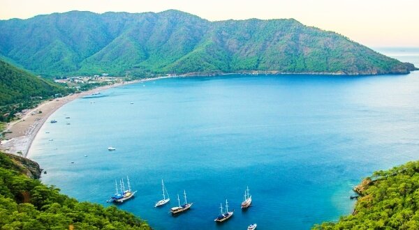 Olimpos sahili ağaçev pansiyon