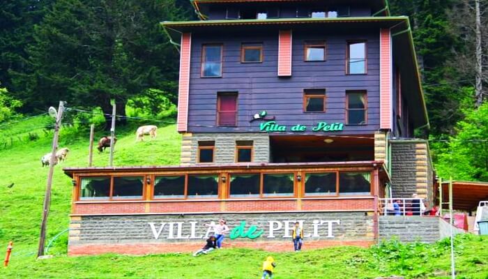 Villa De Pelit otel Ayder Yaylası tatil yeri