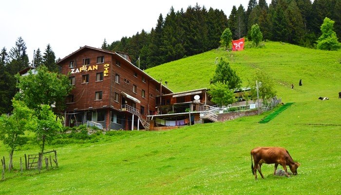 Zafran Ayder yayla oteli