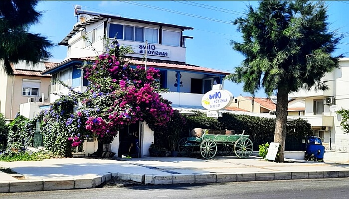 Olive pansiyon Urla İzmir