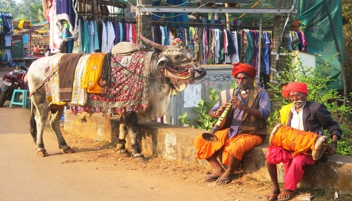 Goa Fotografları